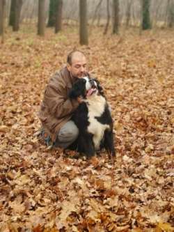 Csaba, 52 �ves gy�mr�i t�rskeres� f�rfi